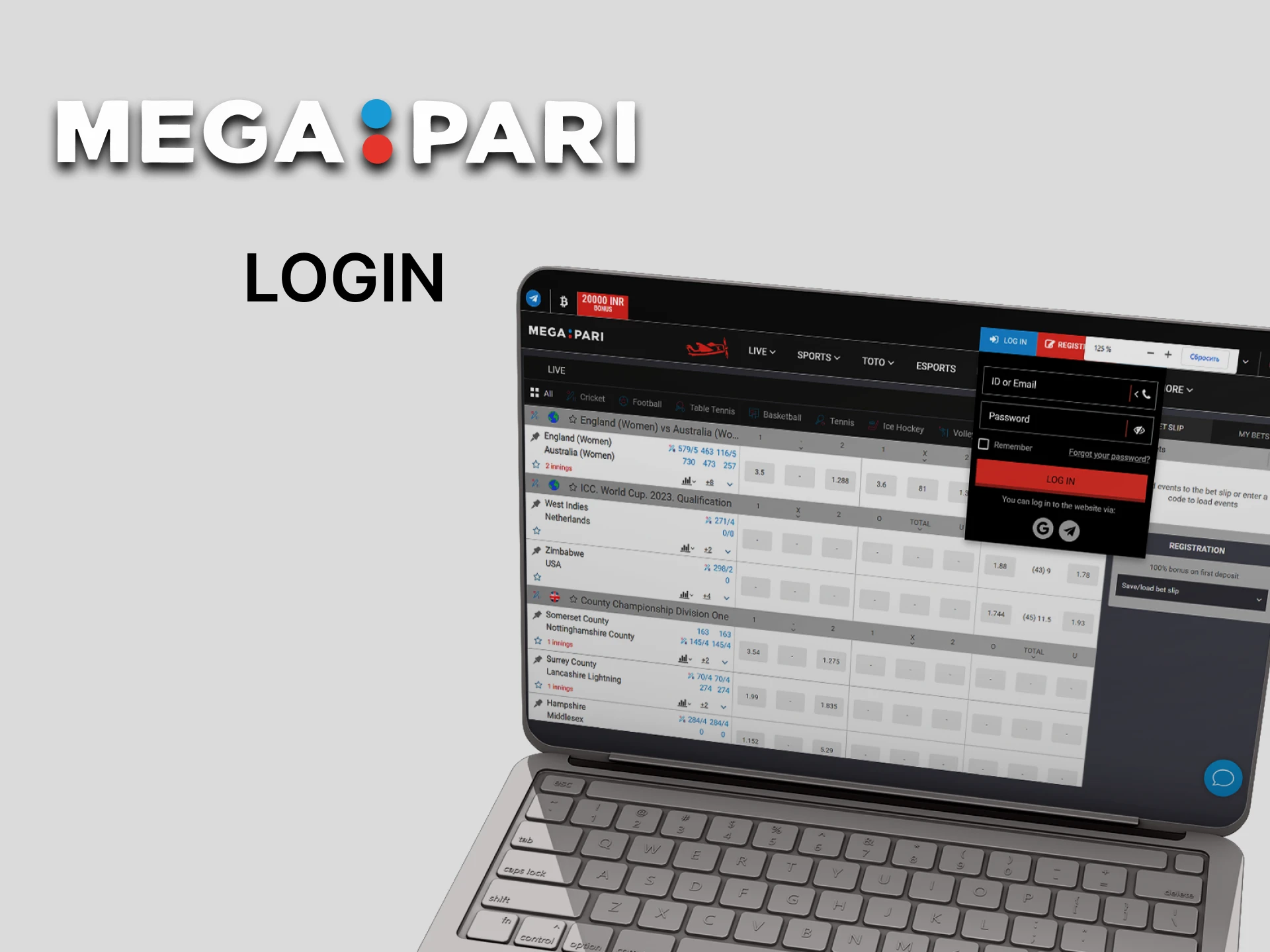 Log in to your Megapari account in 5 easy steps.